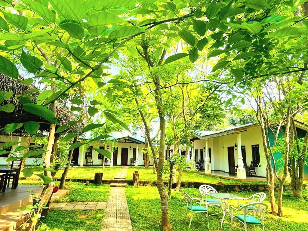 Kingfisher Resort Sigiriya Exterior photo